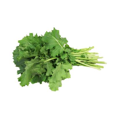 Karam Saag 500+ seeds