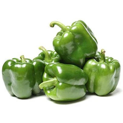 Green Capsicum (سبز شملہ) 15 Seeds