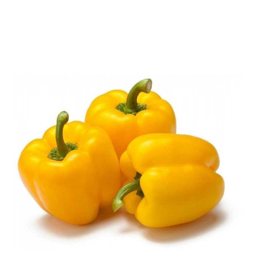 Yellow Capsicum (ییلو شملہ) 10 Seeds