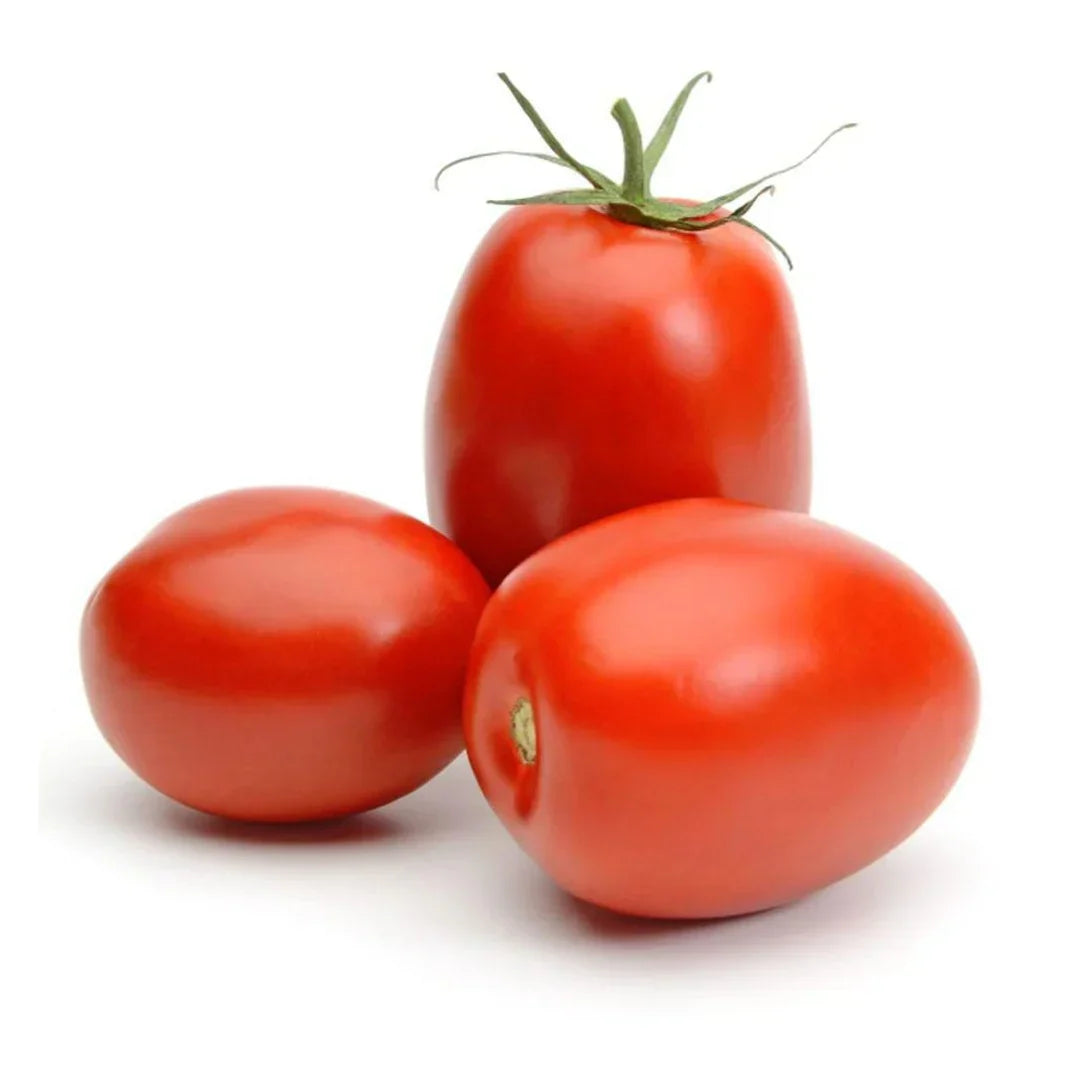 F1 Hybrid Tomatoes (ٹماٹر) 20 Seeds