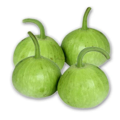 F1 Hybrid Ghia Kaddu (گھیا کدو) 7 Seeds