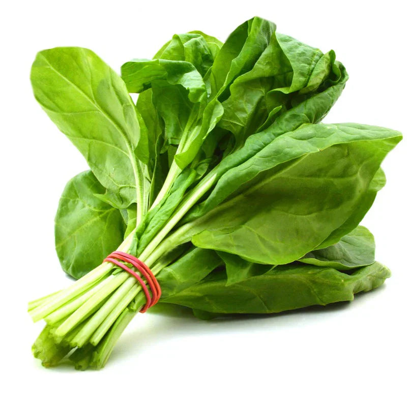 F1 Hybrid Spinach (پالک) 200+ Seeds