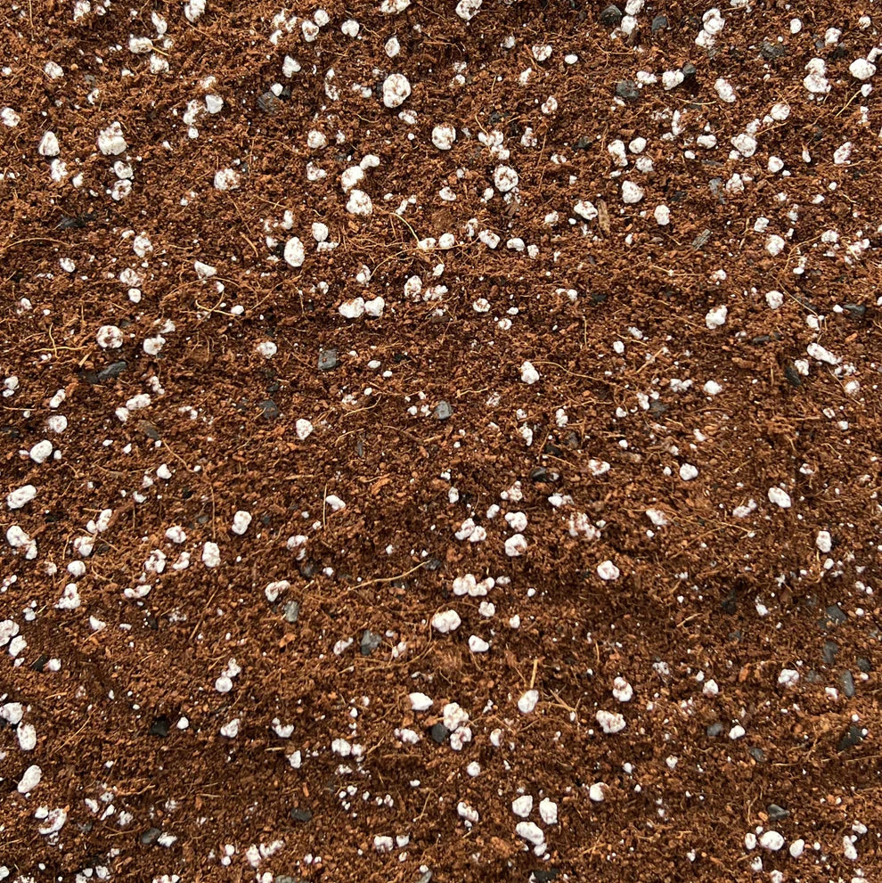 Potting Mix 1kg