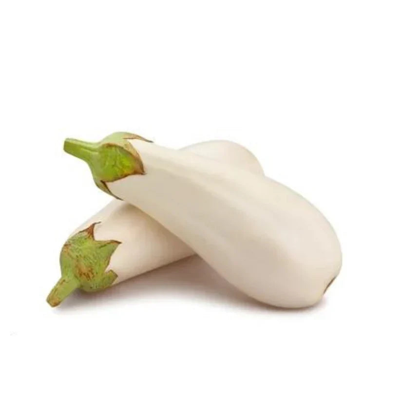 F1 Hybrid Bottle Eggplant (لمبا سفید بینگن) 15 Seeds
