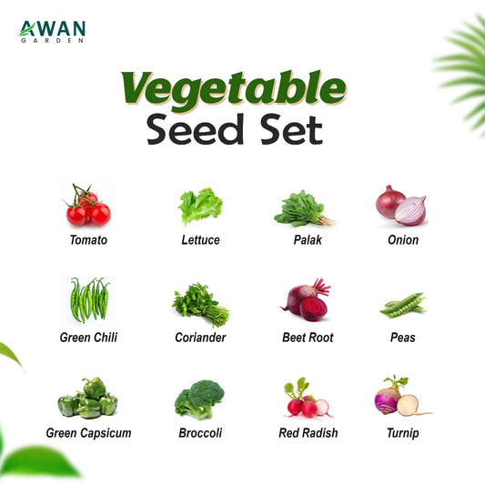 Awan Garden Vegetable Grow Kit