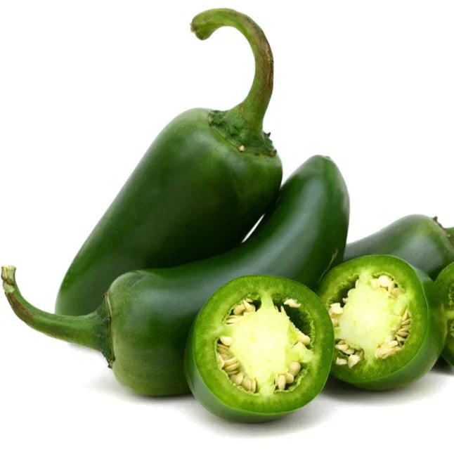 jalapeno (جیلوپینو) 10 Seeds