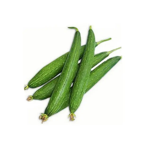 F1 Hybrid Ridge Gourd (کالی توری) 10 Seeds
