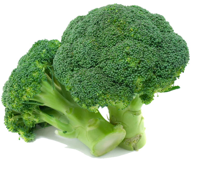 Broccoli (بروکلی) 20 Seeds
