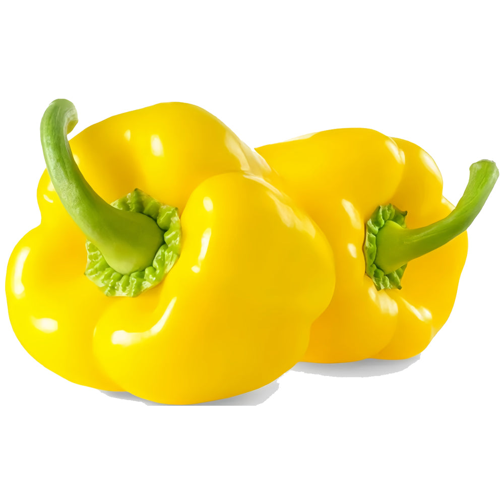 Yellow Capsicum (ییلو شملہ) 10 Seeds