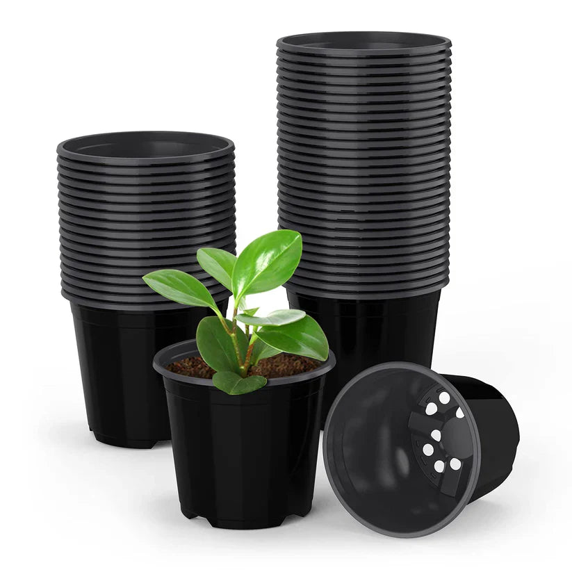 Pots & Planters
