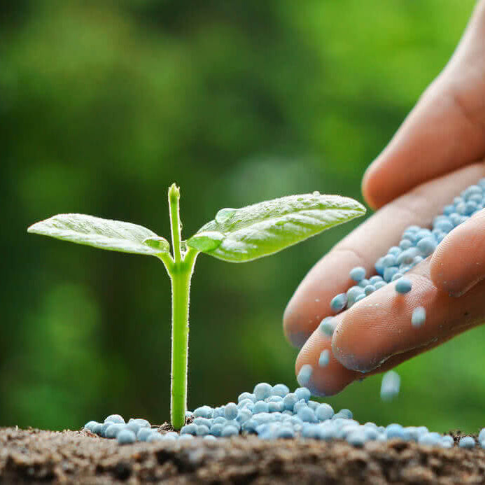 Soil & Fertilizer