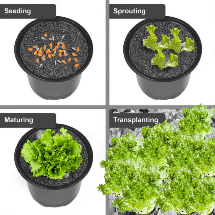 Awan Garden Vegetable Grow Kit