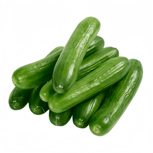 F1 Hybrid Cucumber (کھیرا) 10 Seeds
