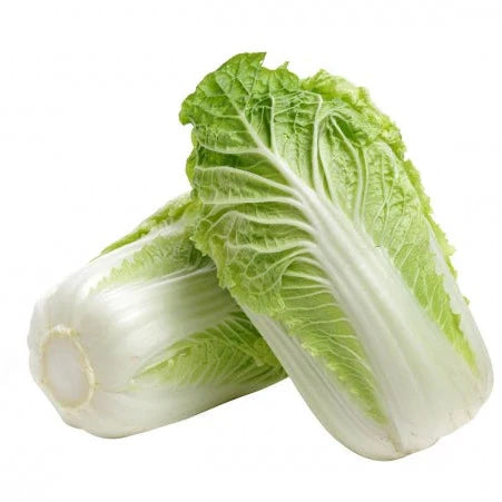 F1 Chines Cabbage (چائینیز گوبھی) Seeds