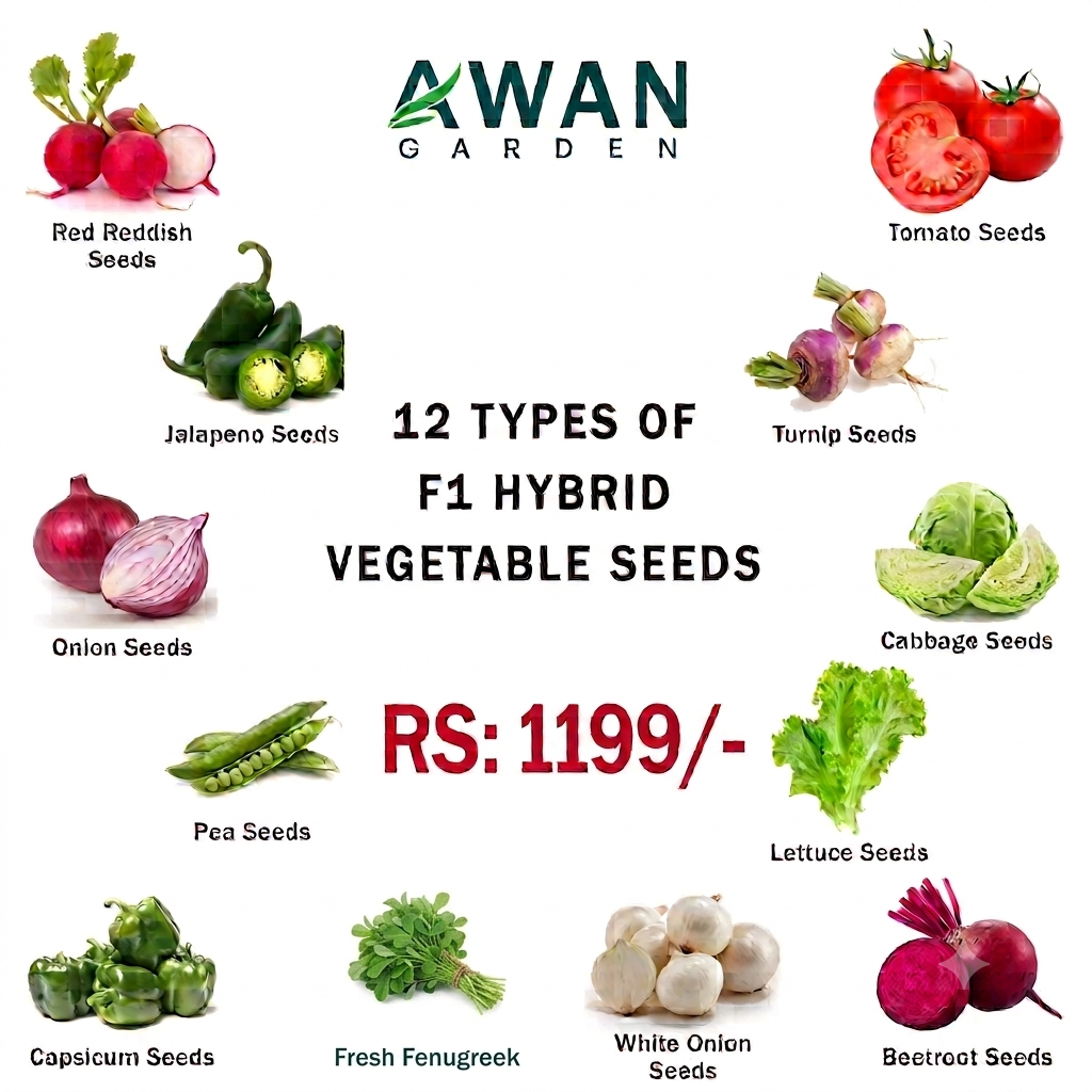 Vegetable Seed Bundles