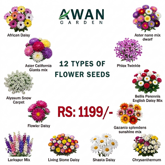 Flower Seed Bundles