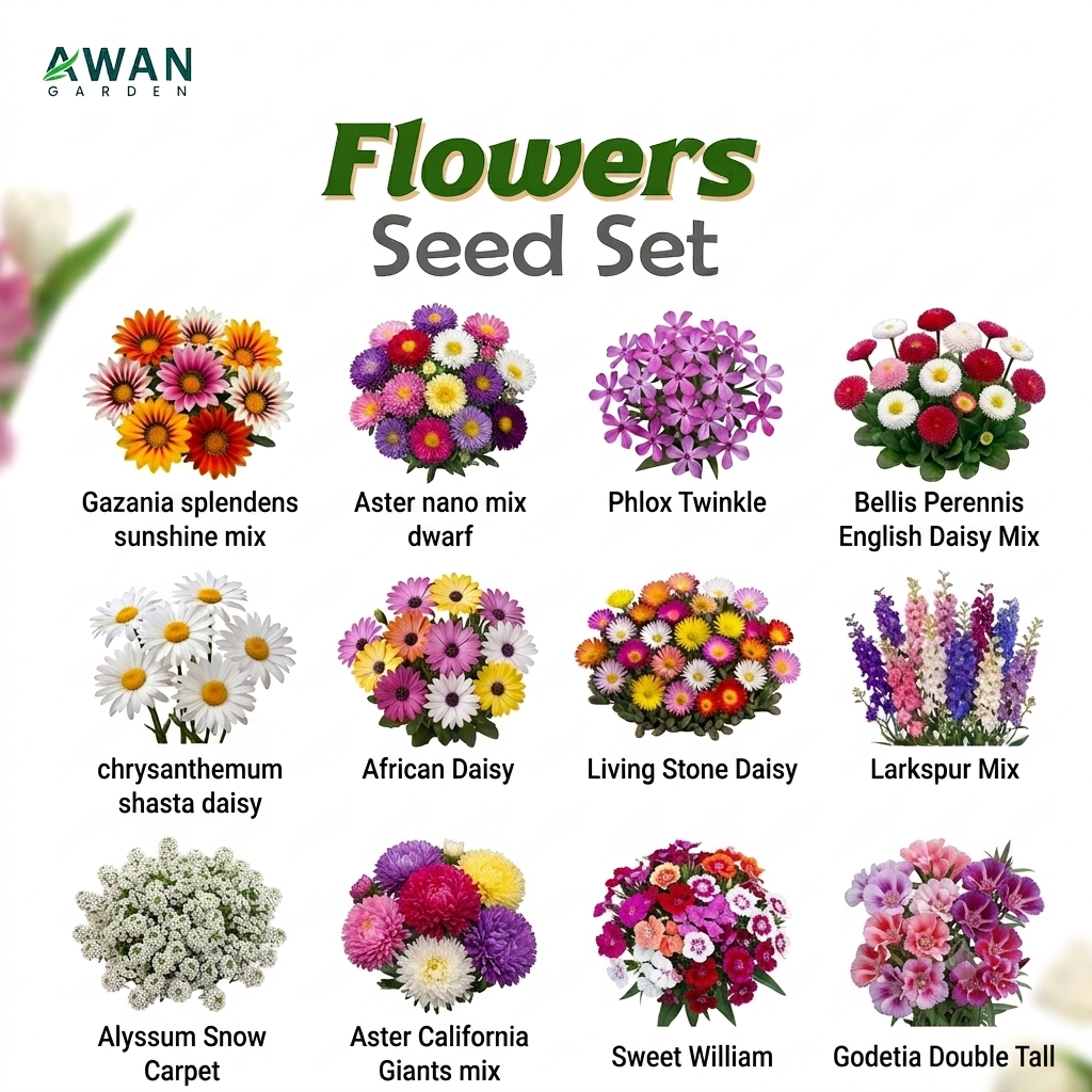 Awan Garden Flower Seed Bundles Kit