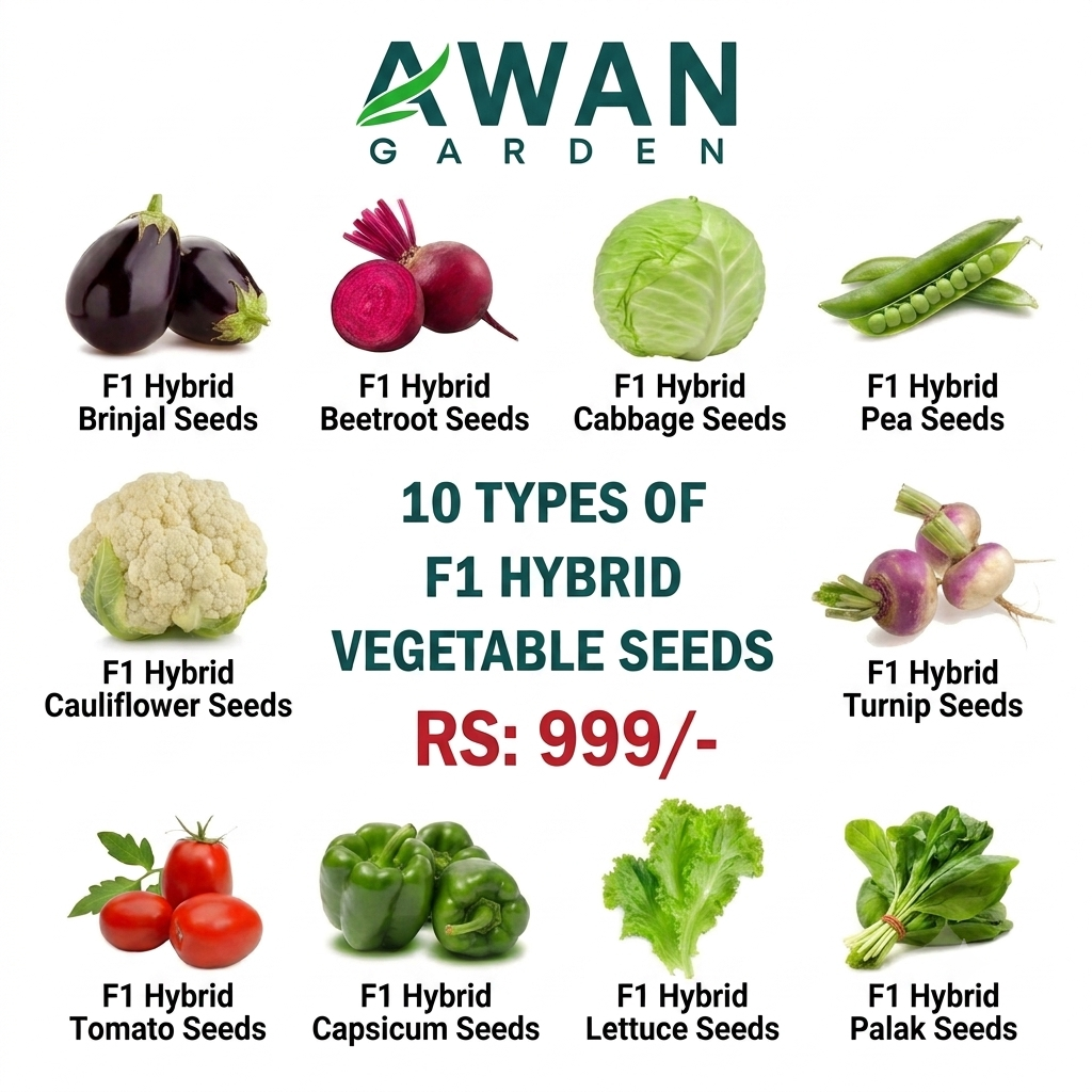 Vegetable Seed Bundles