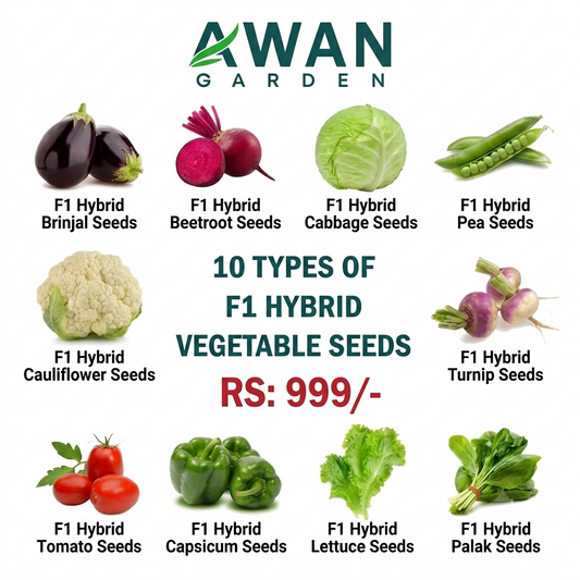 Vegetable Seed Bundles