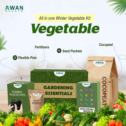 Awan Garden Vegetable Grow Kit