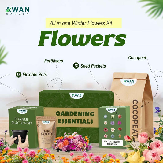 Awan Garden Flower Seed Bundles Kit