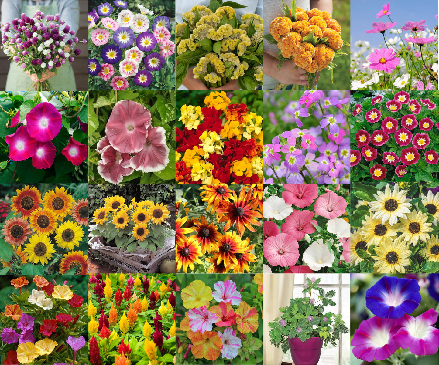 All-Season Mixed Flowers