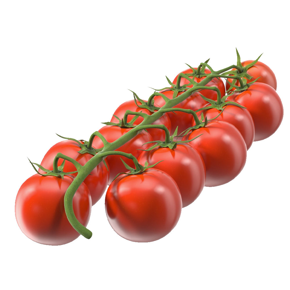 Bail Tomato (بیل ٹماٹر) 10 Seeds