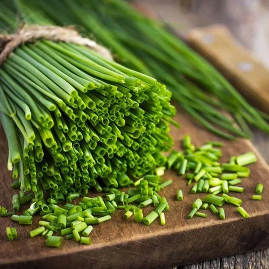 Chives ( چائیوز) Seeds